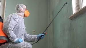 Best Industrial Mold Remediation  in Lynnwood, WA